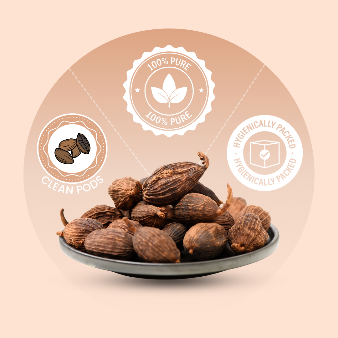 Organically Grown Black Cardamom (Badi Elaichi) | Kerala (Idduki) | Premium Export Quality