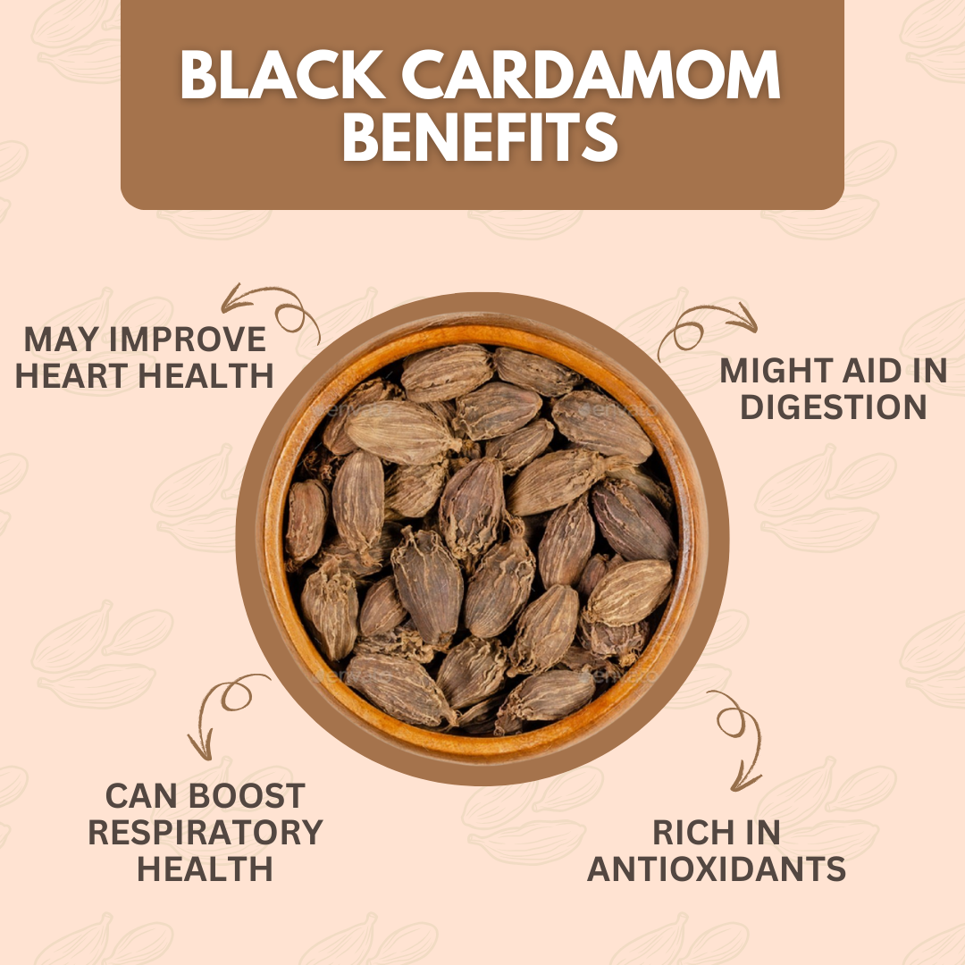 Organically Grown Black Cardamom (Badi Elaichi) | Kerala (Idduki) | Premium Export Quality