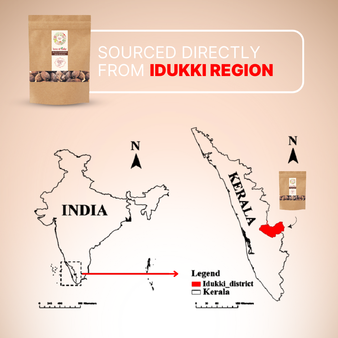 Organically Grown Black Cardamom (Badi Elaichi) | Kerala (Idduki) | Premium Export Quality