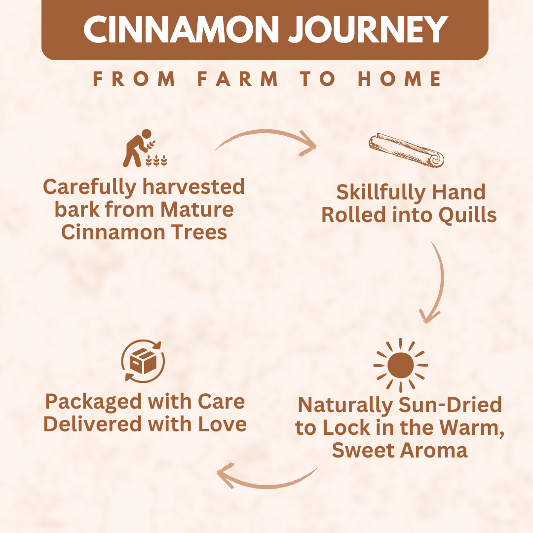 Organically Grown Cinnamon Roll (Dalchini) - 50gm | Premium Export Quality | Authentic & Natural Flavour