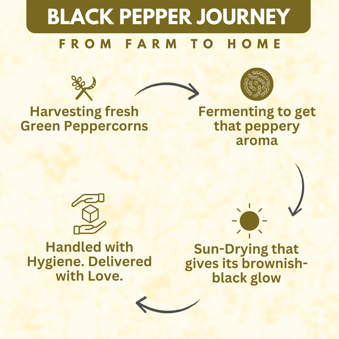 Organically Grown Black Pepper Bold (Kali Mirch) | Kerala (Idduki) | Premium Export Quality