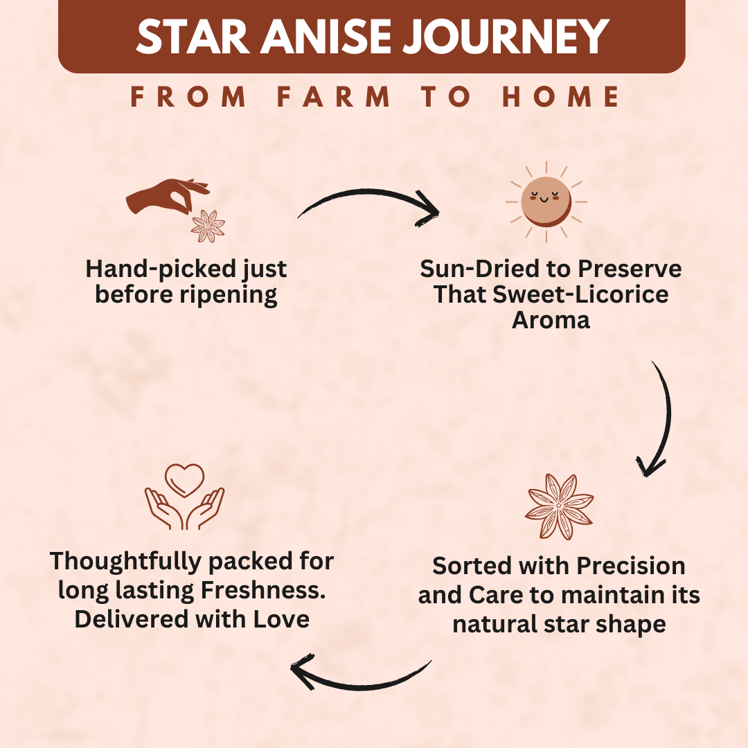 Organically Grown Star Anise (Chakra Phool) | Premium Export Quality and Natural Flavor
