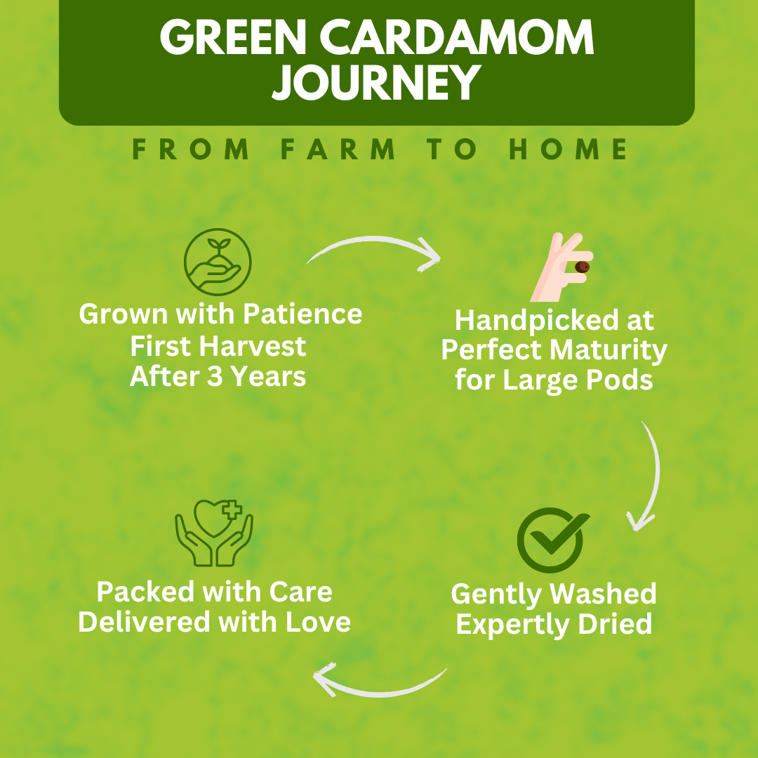 Organically Grown Green Cardamom (Elaichi) 7mm+ | Kerala (Idduki) | Premium Export Quality
