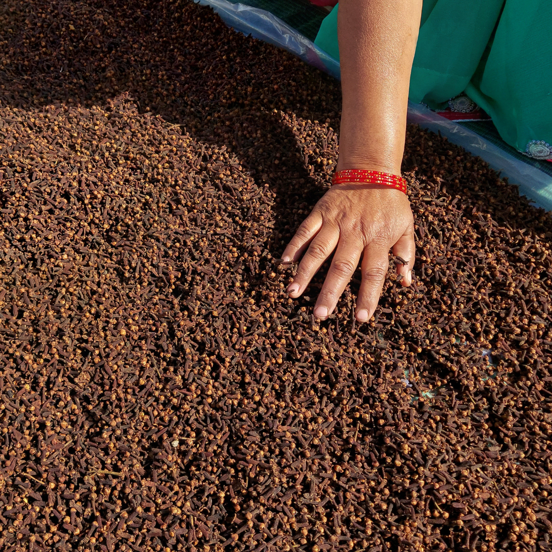 Organically Grown Clove (Laung) Golden Brown + Black Pepper Bold (Kali Mirch) - 50gm Each| Kerala (Idduki) | Premium Export Quality