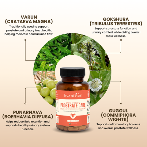 Prostrate Care Capsules