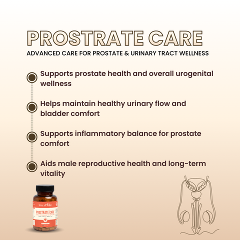 Prostrate Care Capsules