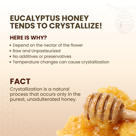 Eucalyptus Honey 400g | 100% Pure – Soothes Sore Throat & Supports Lungs