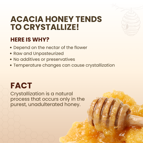 Rajasthan Acacia Honey 400g | 100% Pure– Light, Floral & Energy-Boosting