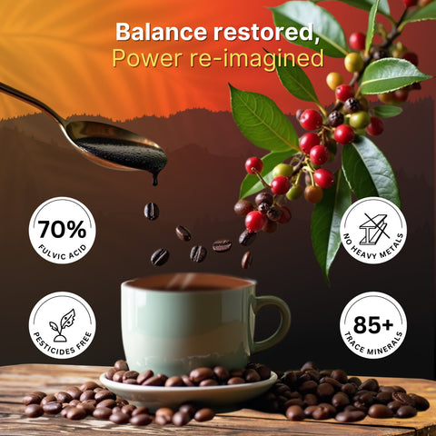 Himalayan Shilajit Roasted Premium Coffee | Rich Aroma & Energy Booster