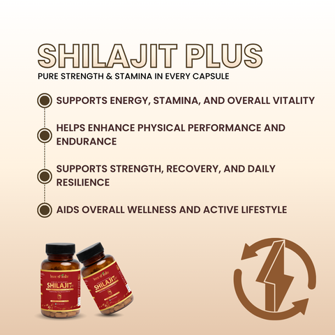 Shilajit Plus Capsules