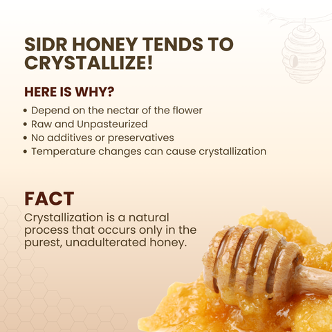 SIDR Honey (Raw, Unprocessed, Unfiltered, Pure & Premium Honey) Jujube Berry