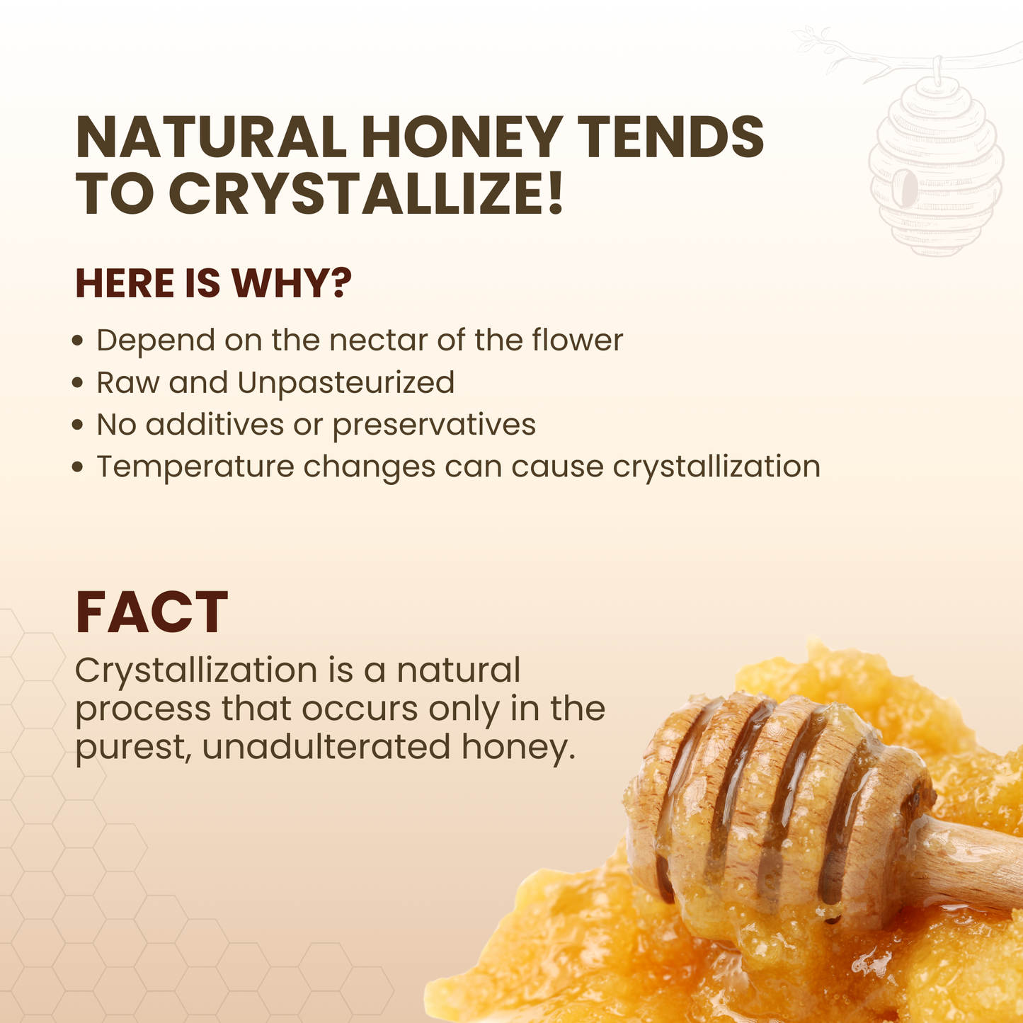 Natural Honey (Raw, Unfiltered, Unprocessed & Non-Pasteurised)