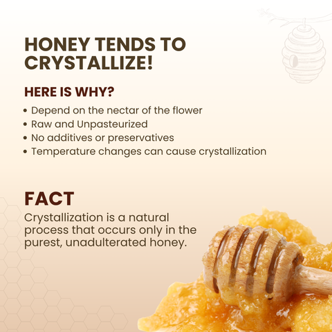 Traditional Wellness Honey Combo