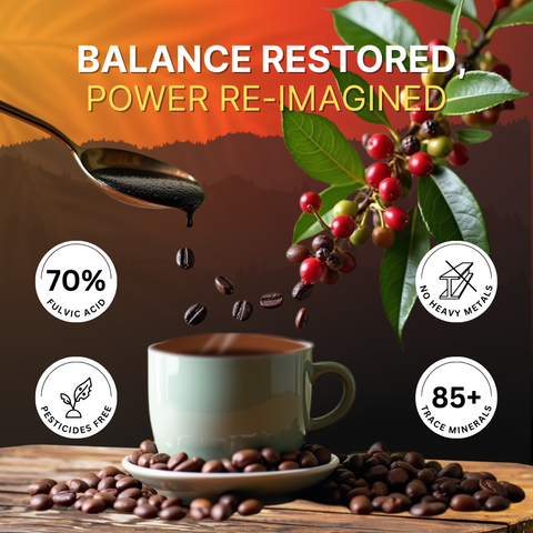 Himalayan Shilajit Roasted Premium Coffee | Rich Aroma & Energy Booster | 10g (5 Cups) Pack