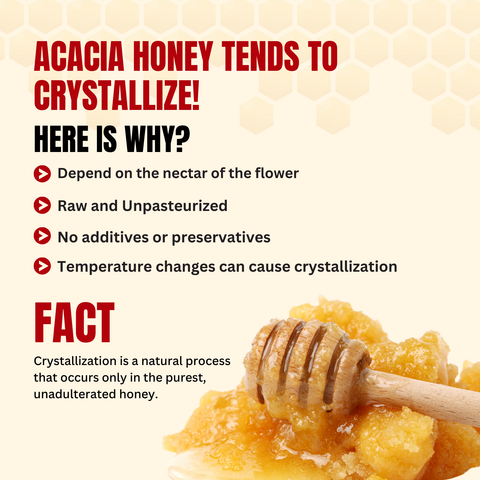 Rajasthan Acacia Honey 400g | 100% Pure– Light, Floral & Energy-Boosting