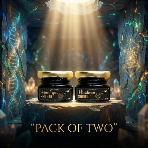 Pure Himalayan Shilajit Resin | Rich in Fulvic Acid & 85+ Minerals | Pack of 2