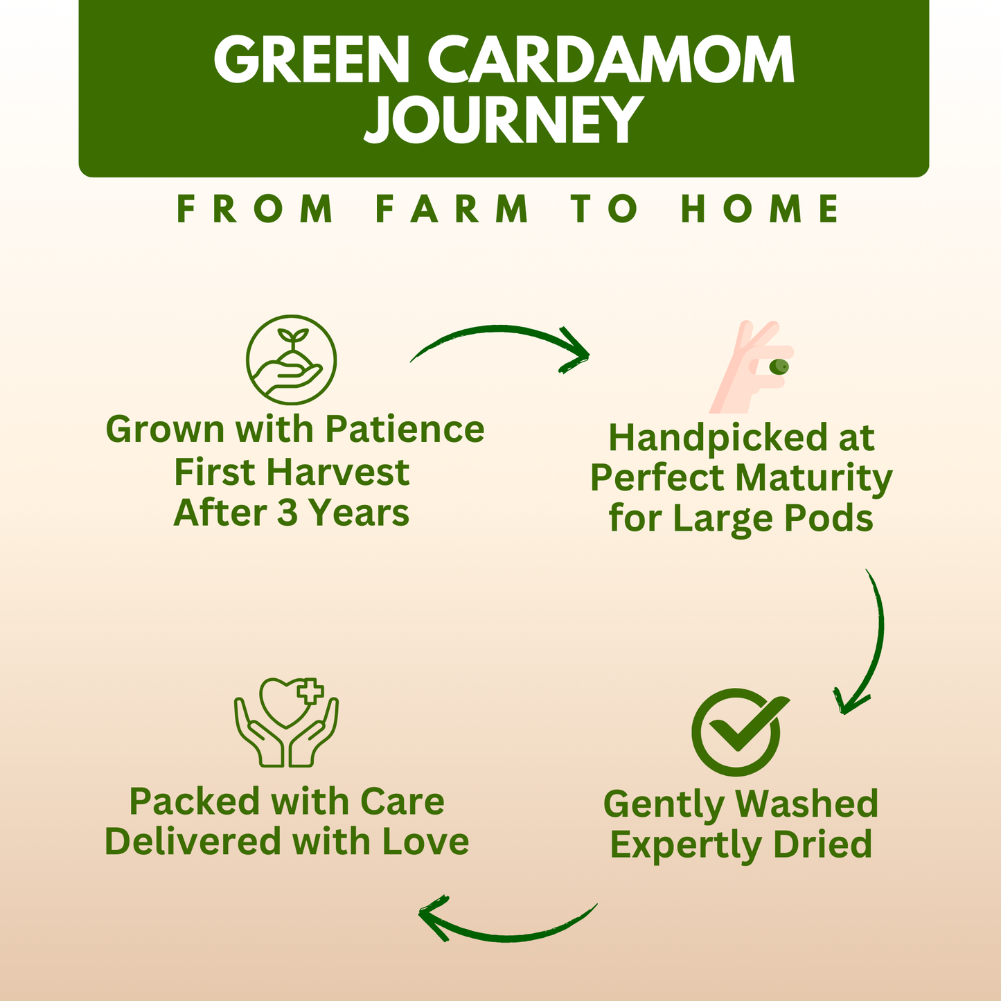 Organically Grown Green Cardamom (Elaichi) 7mm+ | Kerala (Idduki) | Premium Export Quality