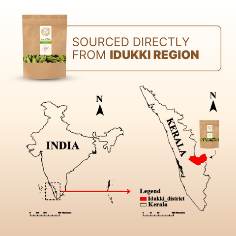 Organically Grown Green Cardamom (Elaichi) 7mm+ | Kerala (Idduki) | Premium Export Quality