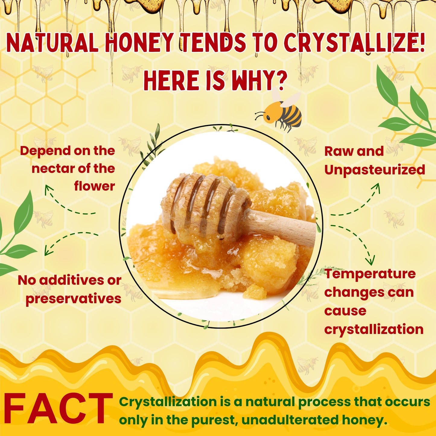 Natural Honey (Raw, Unfiltered, Unprocessed & Non-Pasteurised)