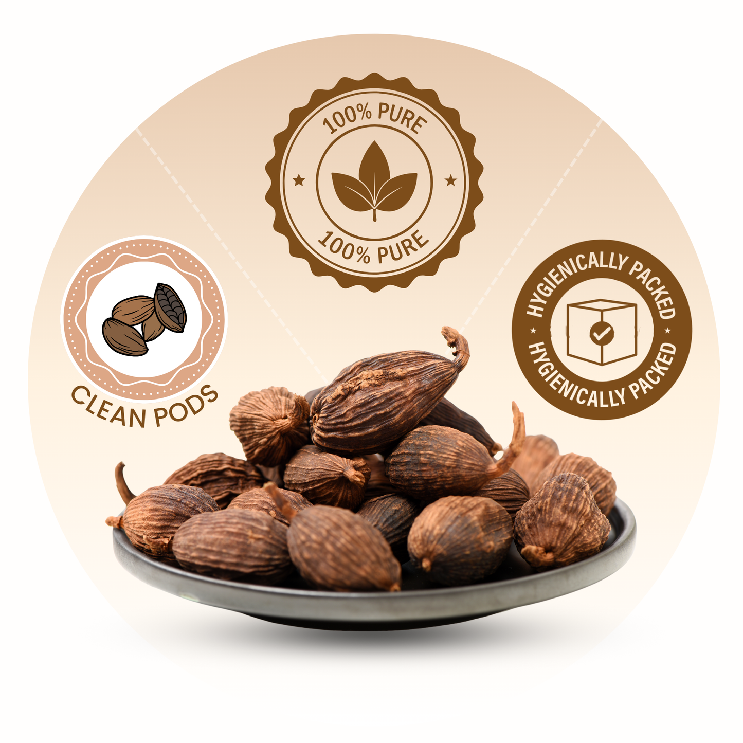 Organically Grown Black Cardamom (Badi Elaichi) | Kerala (Idduki) | Premium Export Quality