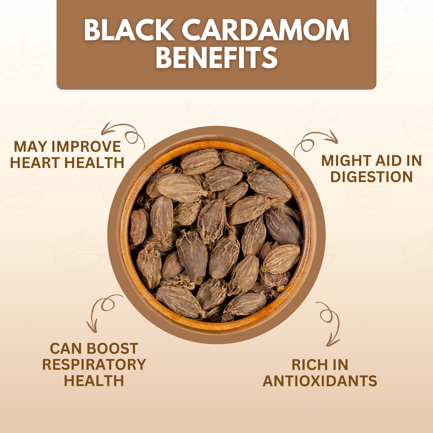Organically Grown Black Cardamom (Badi Elaichi) | Kerala (Idduki) | Premium Export Quality