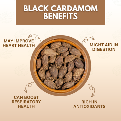 Organically Grown Black Cardamom (Badi Elaichi) | Kerala (Idduki) | Premium Export Quality