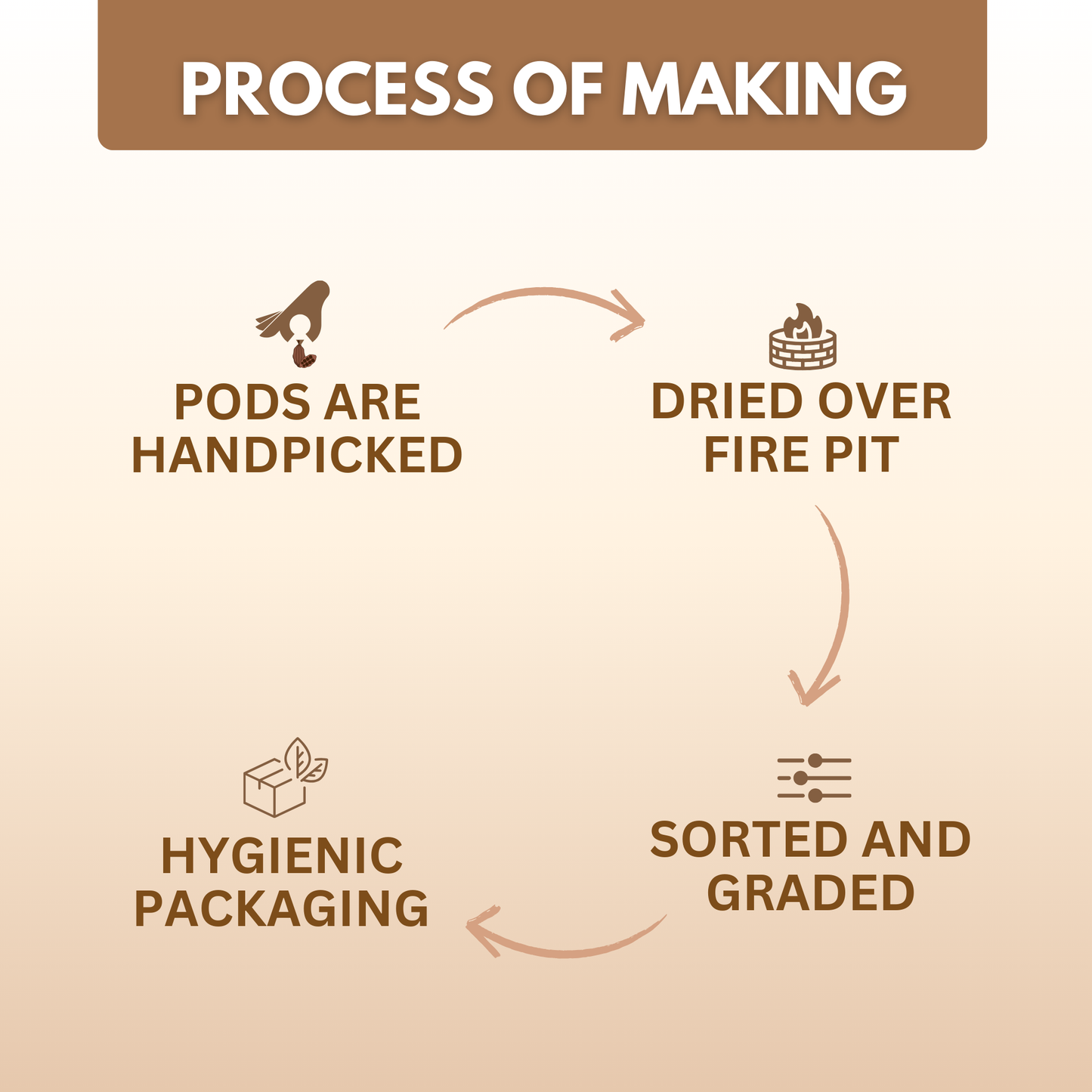 Organically Grown Black Cardamom (Badi Elaichi) | Kerala (Idduki) | Premium Export Quality