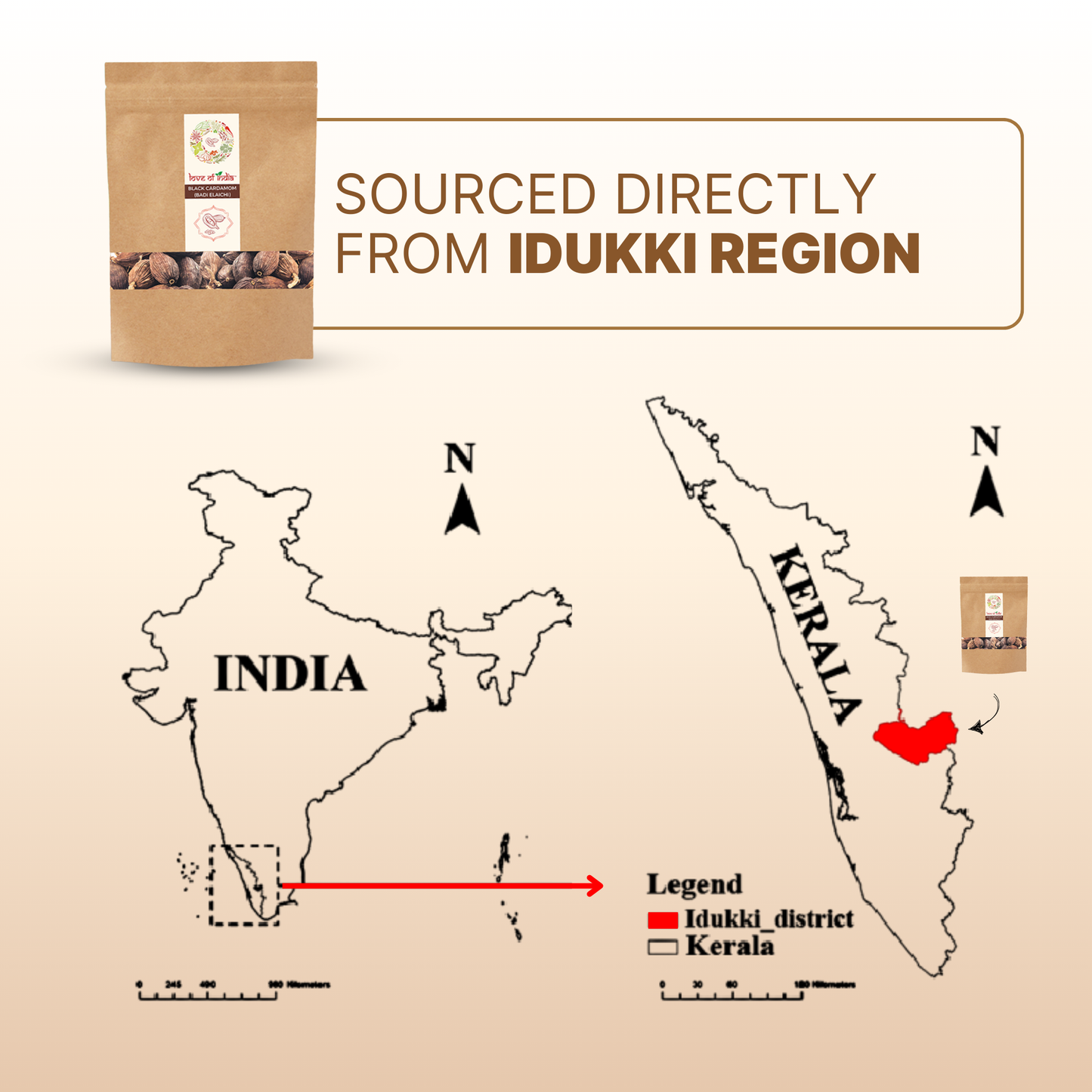 Organically Grown Black Cardamom (Badi Elaichi) | Kerala (Idduki) | Premium Export Quality