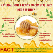 Natural Honey (Raw, Unfiltered, Unprocessed & Non-Pasteurised)