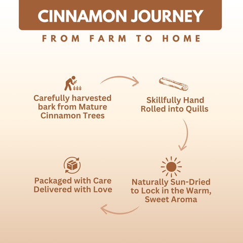Organically Grown Cinnamon Roll (Dalchini) - 50gm | Premium Export Quality | Authentic & Natural Flavour