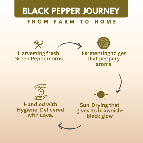 Organically Grown Black Pepper Bold (Kali Mirch) | Kerala (Idduki) | Premium Export Quality