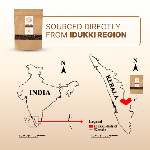 Organically Grown Black Pepper Bold (Kali Mirch) | Kerala (Idduki) | Premium Export Quality