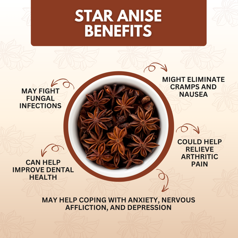 Organically Grown Star Anise (Chakra Phool) | Premium Export Quality and Natural Flavor