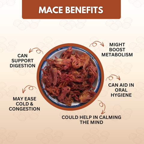 Organically Grown Mace (Javitri) Full Flower | Kerala (Idduki) -10gm | Premium Export Quality and Natural Flavor