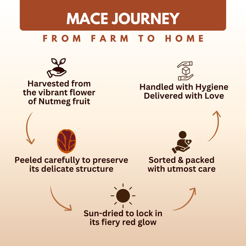 Organically Grown Mace (Javitri) Full Flower | Kerala (Idduki) -10gm | Premium Export Quality and Natural Flavor