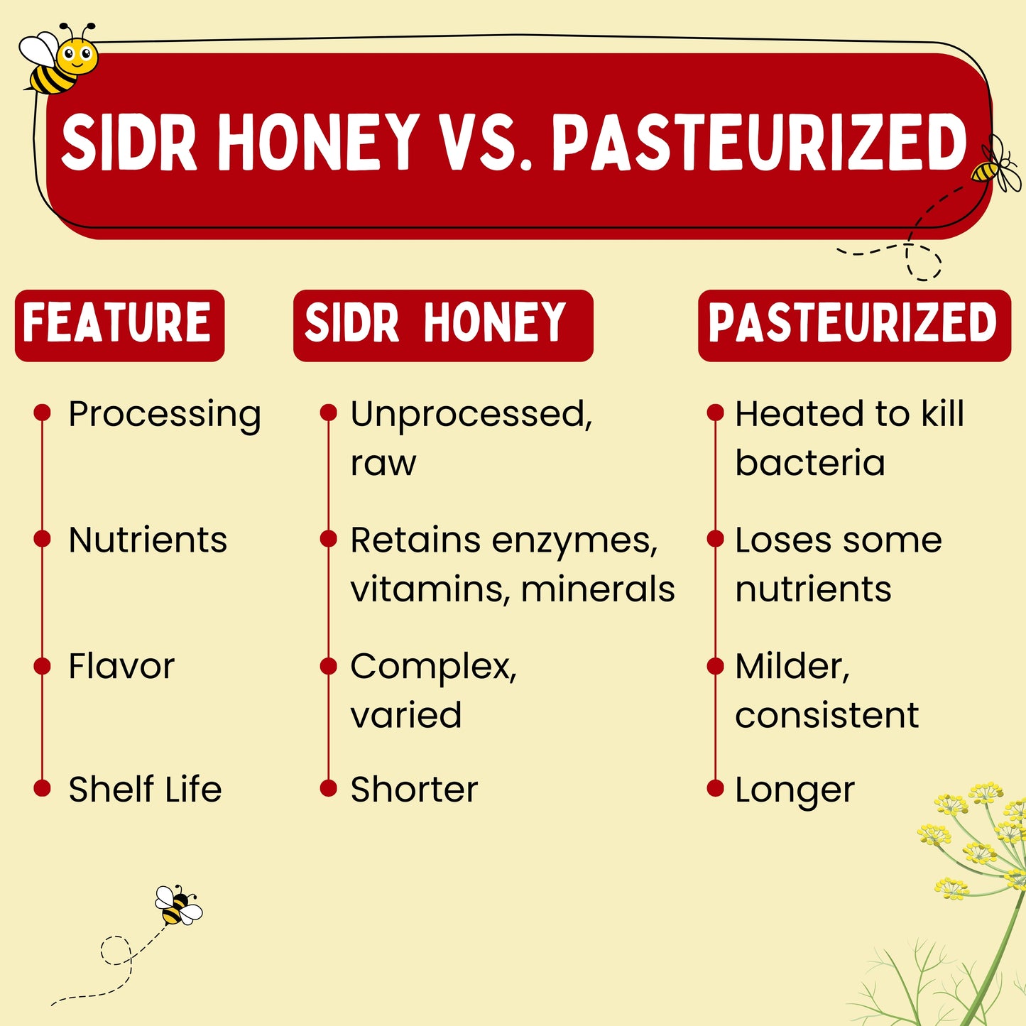 SIDR Honey (Raw, Unprocessed, Unfiltered, Pure & Premium Honey) Jujube Berry