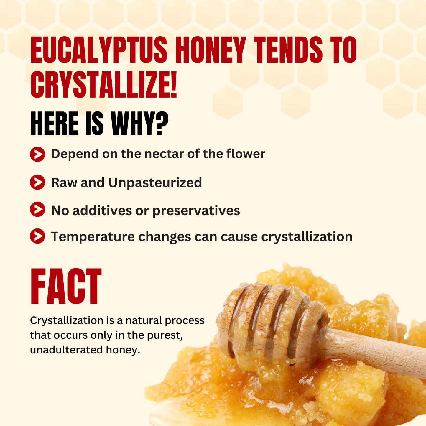 Eucalyptus Honey 400g | 100% Pure – Soothes Sore Throat & Supports Lungs