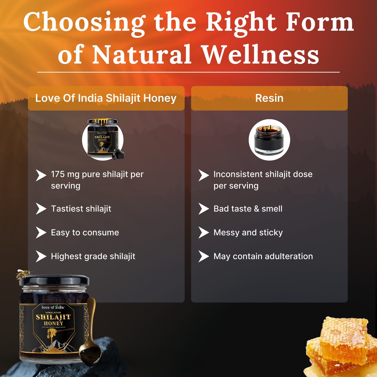 Himalayan Shilajit Honey – Nature’s Pure Fusion | Love Of India