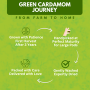 Organically Grown Green Cardamom (Elaichi) 7mm+ | Kerala (Idduki) | Premium Export Quality