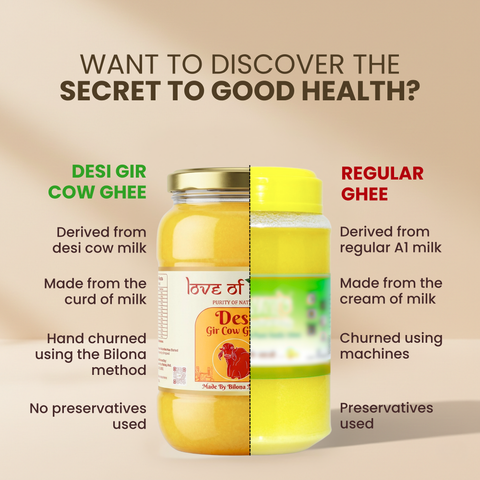 A2 Gir Cow Ghee – Bilona Method | Gujarat Sourced | 30 Litres of Milk, 1 Litre of Ghee