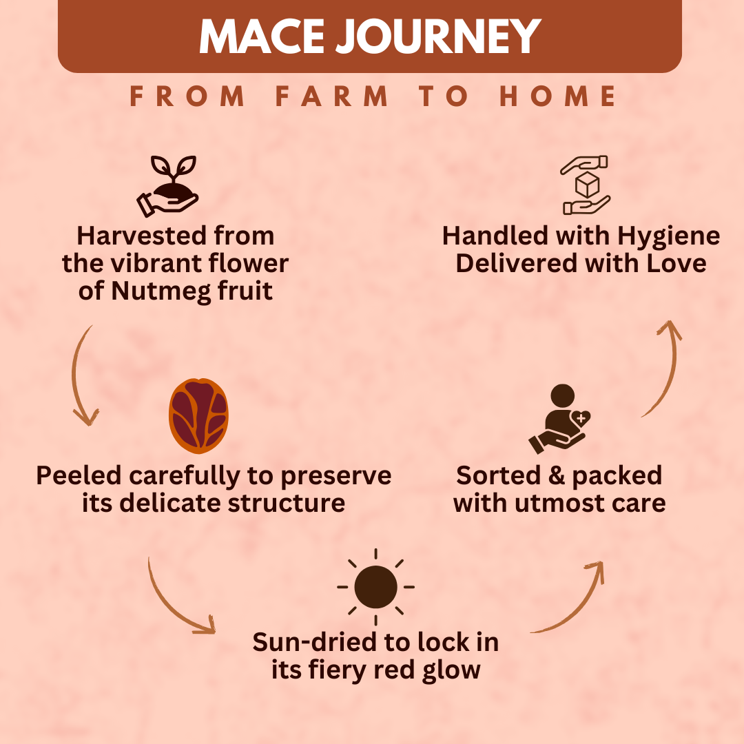 Organically Grown Mace (Javitri) Full Flower | Kerala (Idduki) -10gm | Premium Export Quality and Natural Flavor