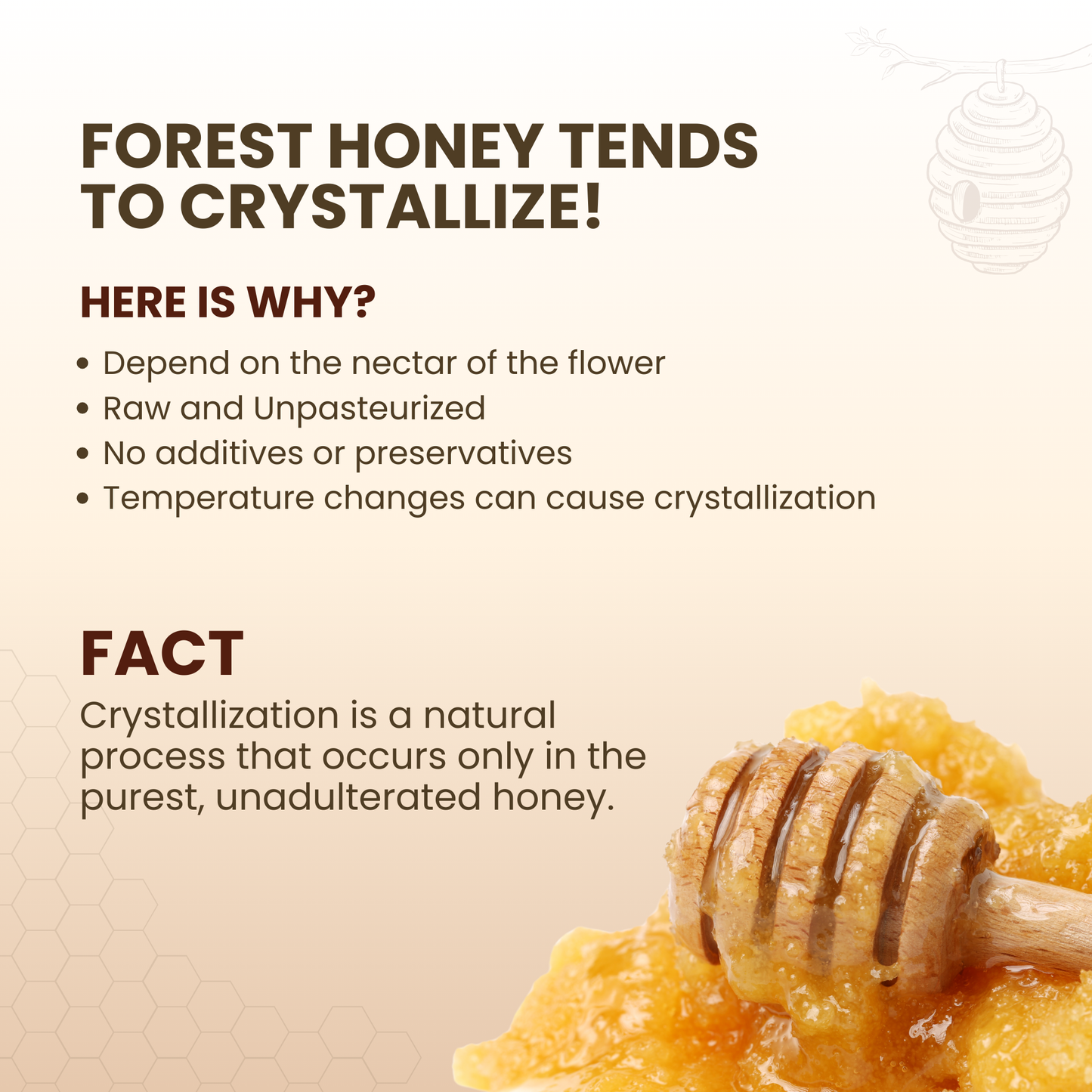 Forest Honey (Raw, Unfiltered, Unprocessed & Non-Pasteurised) 1200GM