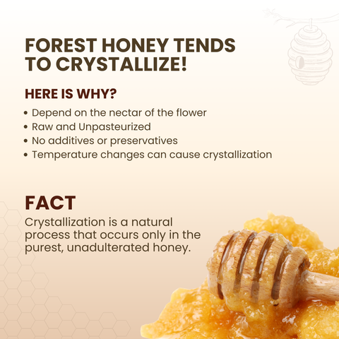 Forest Honey (Raw, Unfiltered, Unprocessed & Non-Pasteurised)