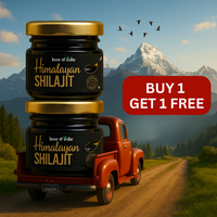 Pure Himalayan Shilajit Resin | Rich in Fulvic Acid & 85+ Minerals | Buy 1 Get 1 FREE