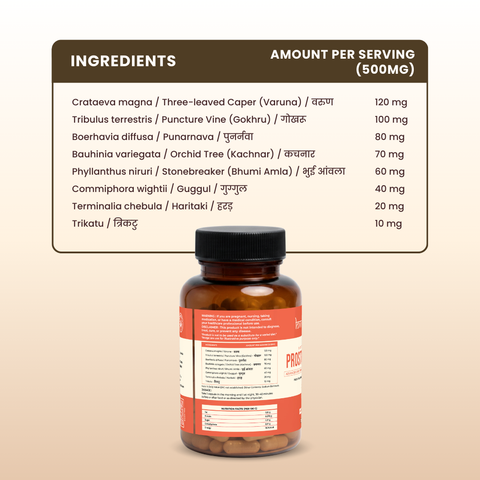 Prostrate Care Capsules