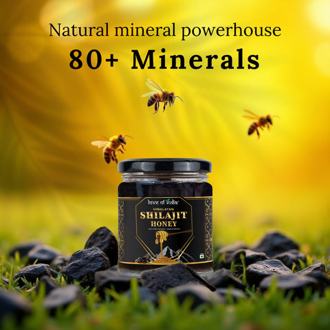 Himalayan Shilajit Honey – Nature’s Pure Fusion | Love Of India 75gm