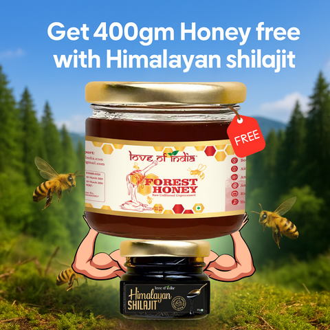 Daily Strength Combo: Pure Himalayan Shilajit Resin (20g) + FREE Forest Honey (400g) – Energy, Immunity & Recovery Boost
