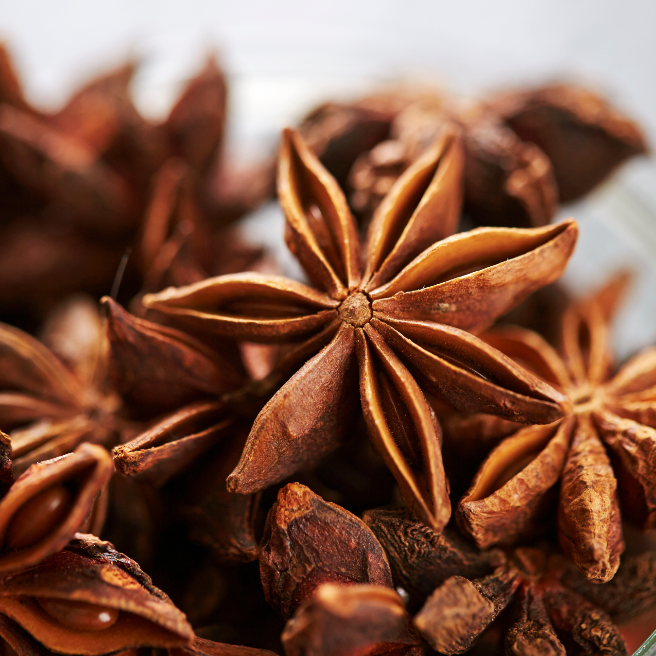 Organically Grown Star Anise (Chakra Phool) | Premium Export Quality and Natural Flavor
