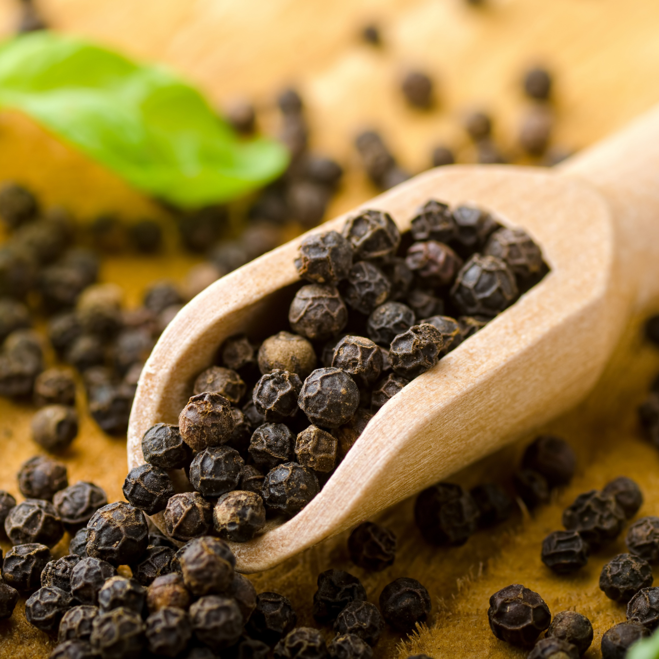 Organically Grown Black Pepper Bold (Kali Mirch) | Kerala (Idduki) | Premium Export Quality
