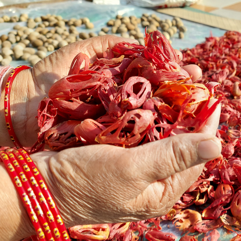 Organically Grown Mace (Javitri) Full Flower | Kerala (Idduki) -10gm | Premium Export Quality and Natural Flavor